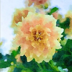 Meet your Posher, Kristen